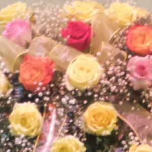 Meet your Posher, Ann